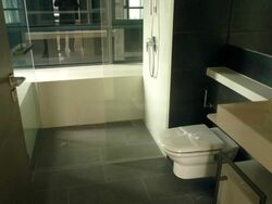 The Trizon (D10), Condominium #467800851